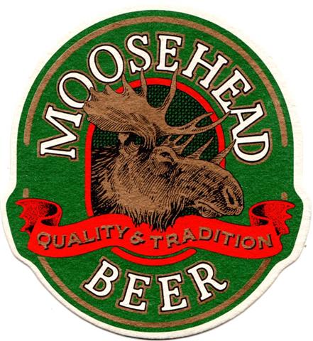 saint john nb-cdn moosehead sofo 1a (205-moosehead beer)